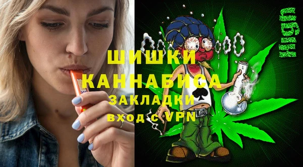 гашик Алексеевка