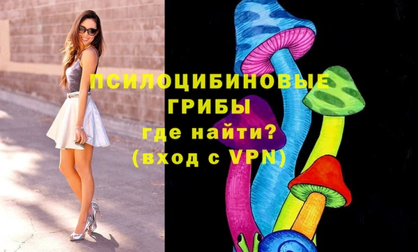 spice Алексин