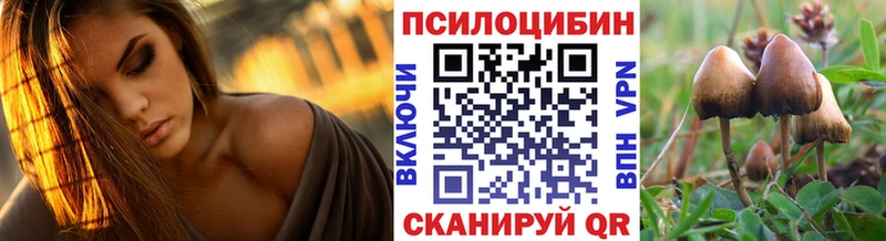 Псилоцибиновые грибы прущие грибы  Буй 